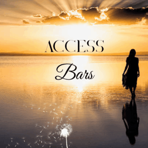 Access Bars Paris 31 janvier 2026